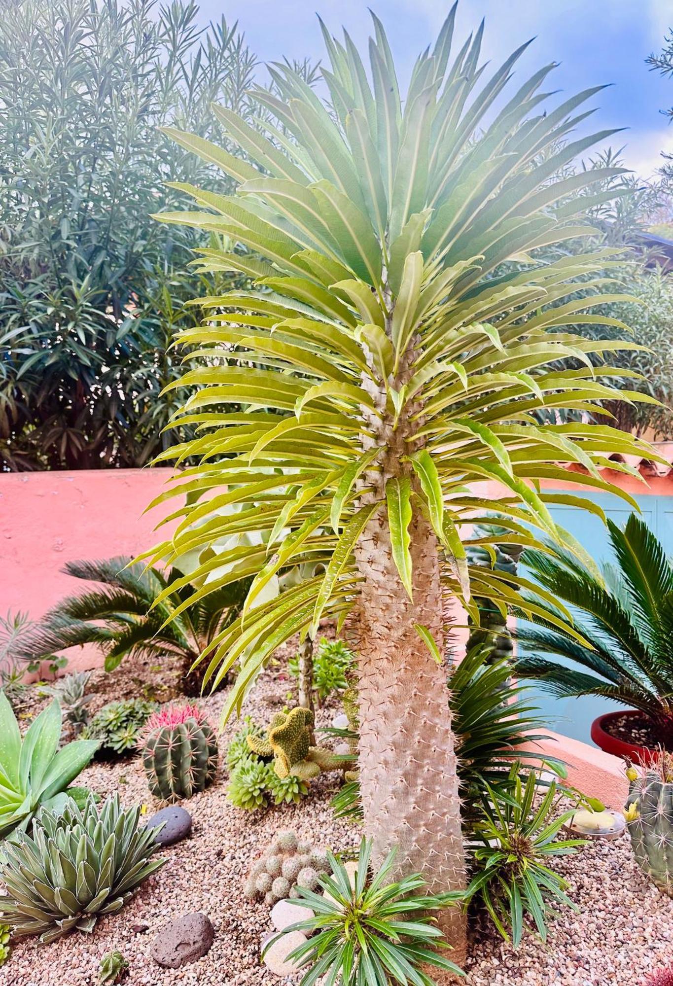 Il Giardino Davanti Al Mare Орозей Екстер'єр фото